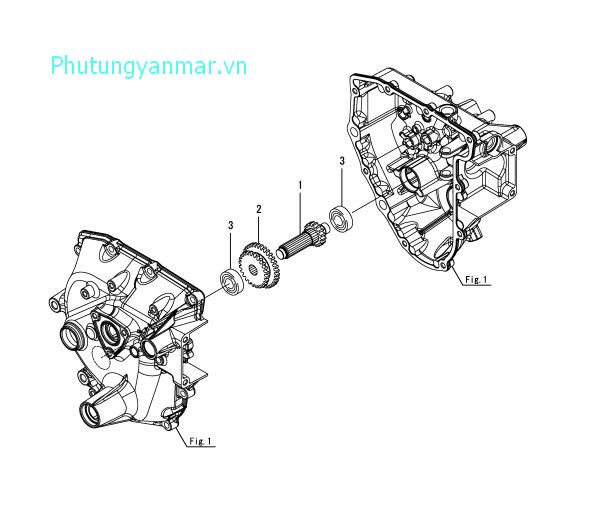 Trục chuyển đổi cấp độ 